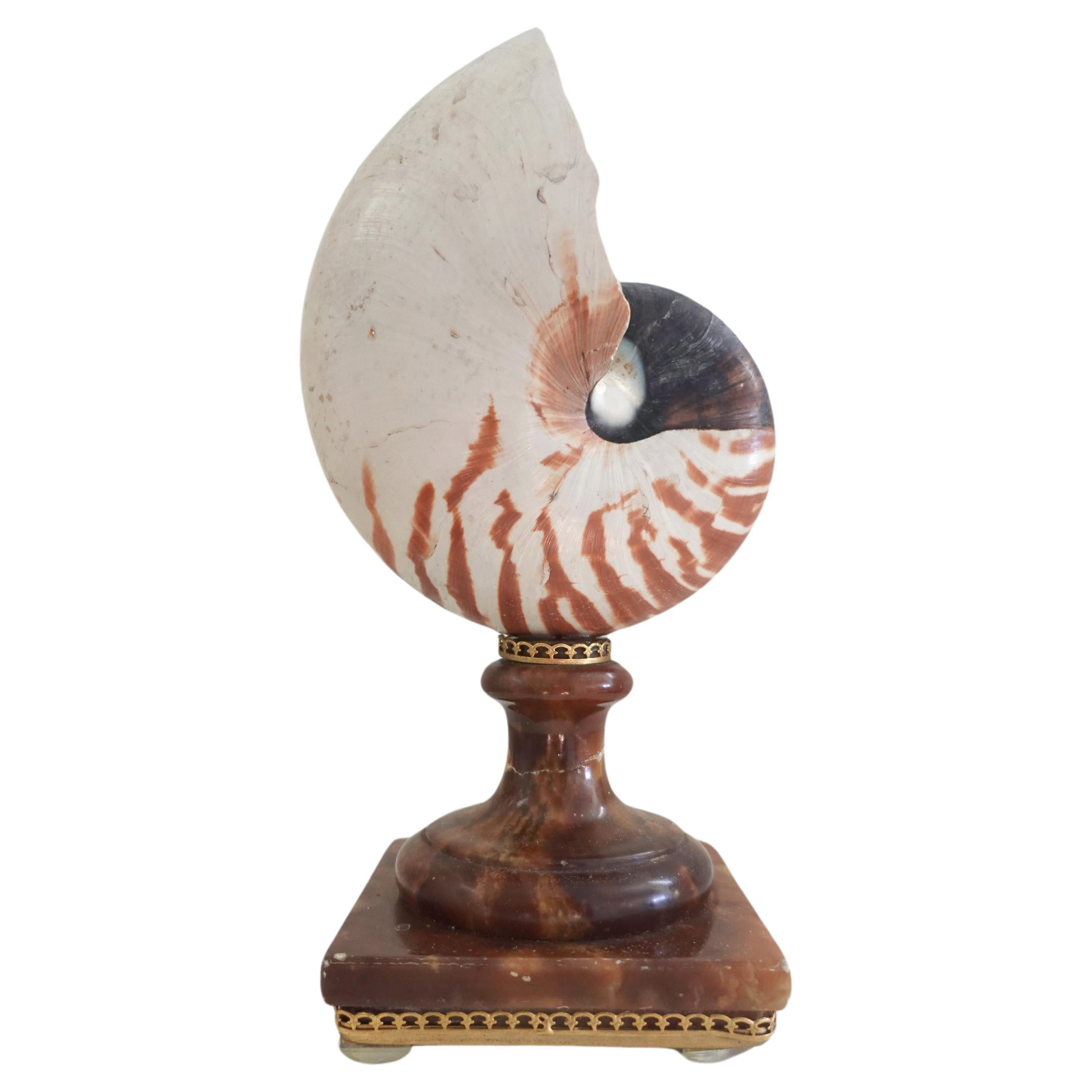Le-Historique-Vintage-Nautilus-Shell-on-Sicilian-Alabaster-Base