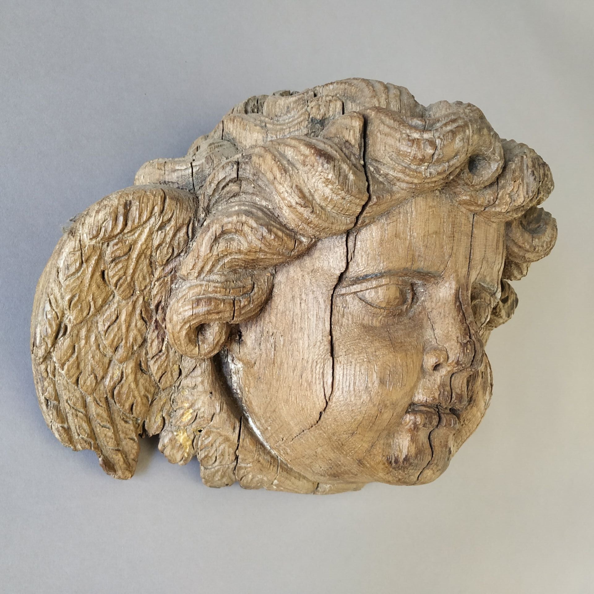 Wooden sculpture of a classical head with curly hair on a gray background