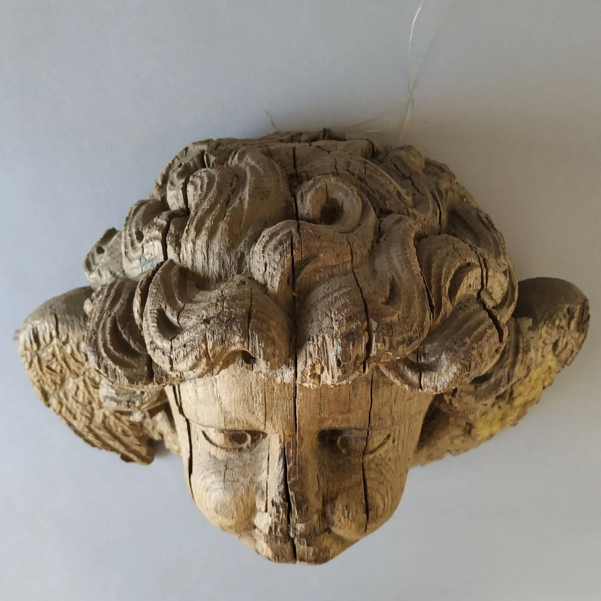 Antique 17th Century French Baroque Carved Oak Winged Cherub Bust
