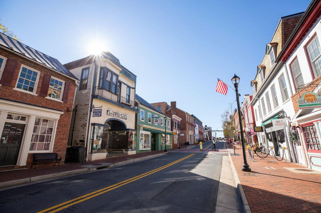 The Historic Downtown Leesburg Shopping Experience