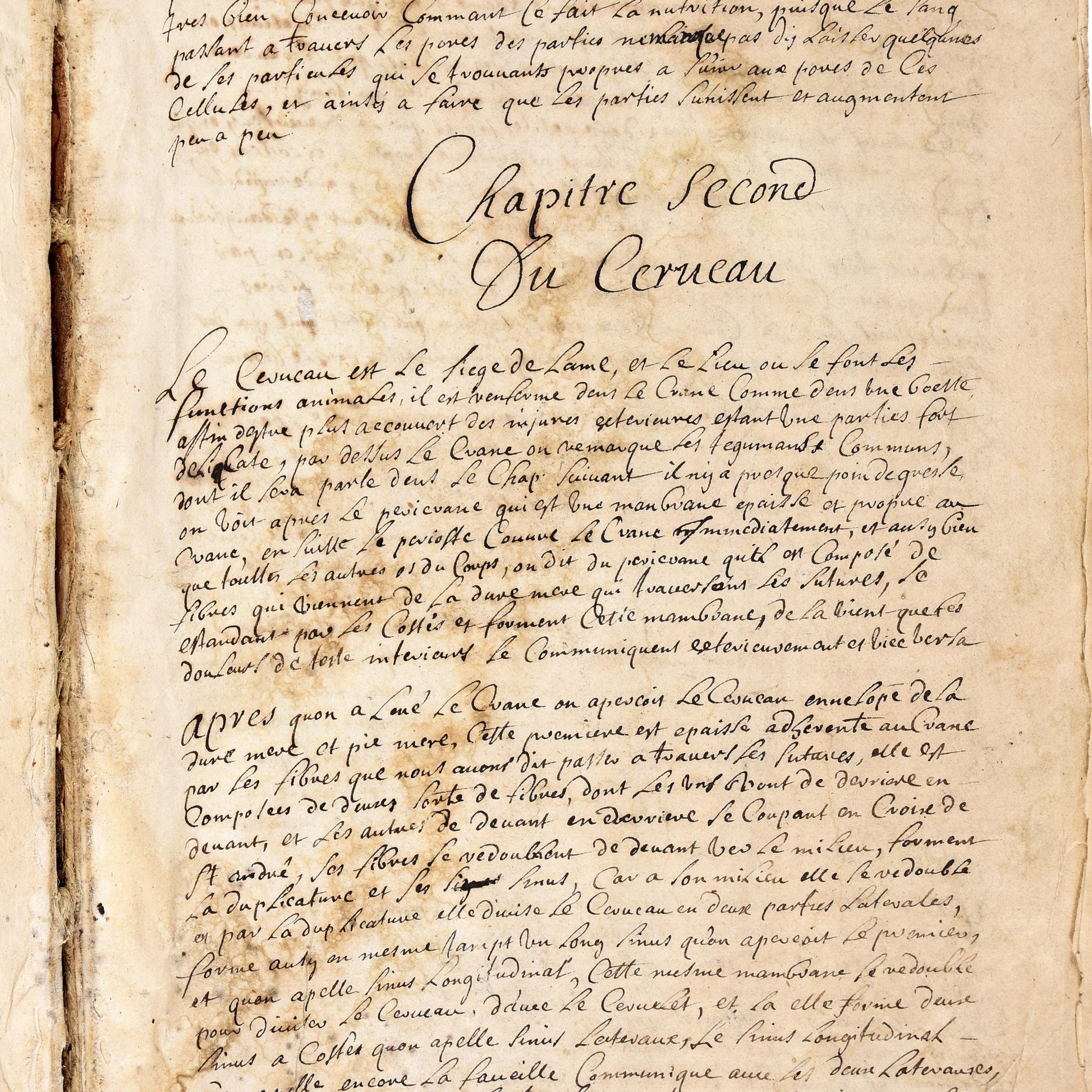 18th century hand written French manuscript on human anatomy and surgical practice