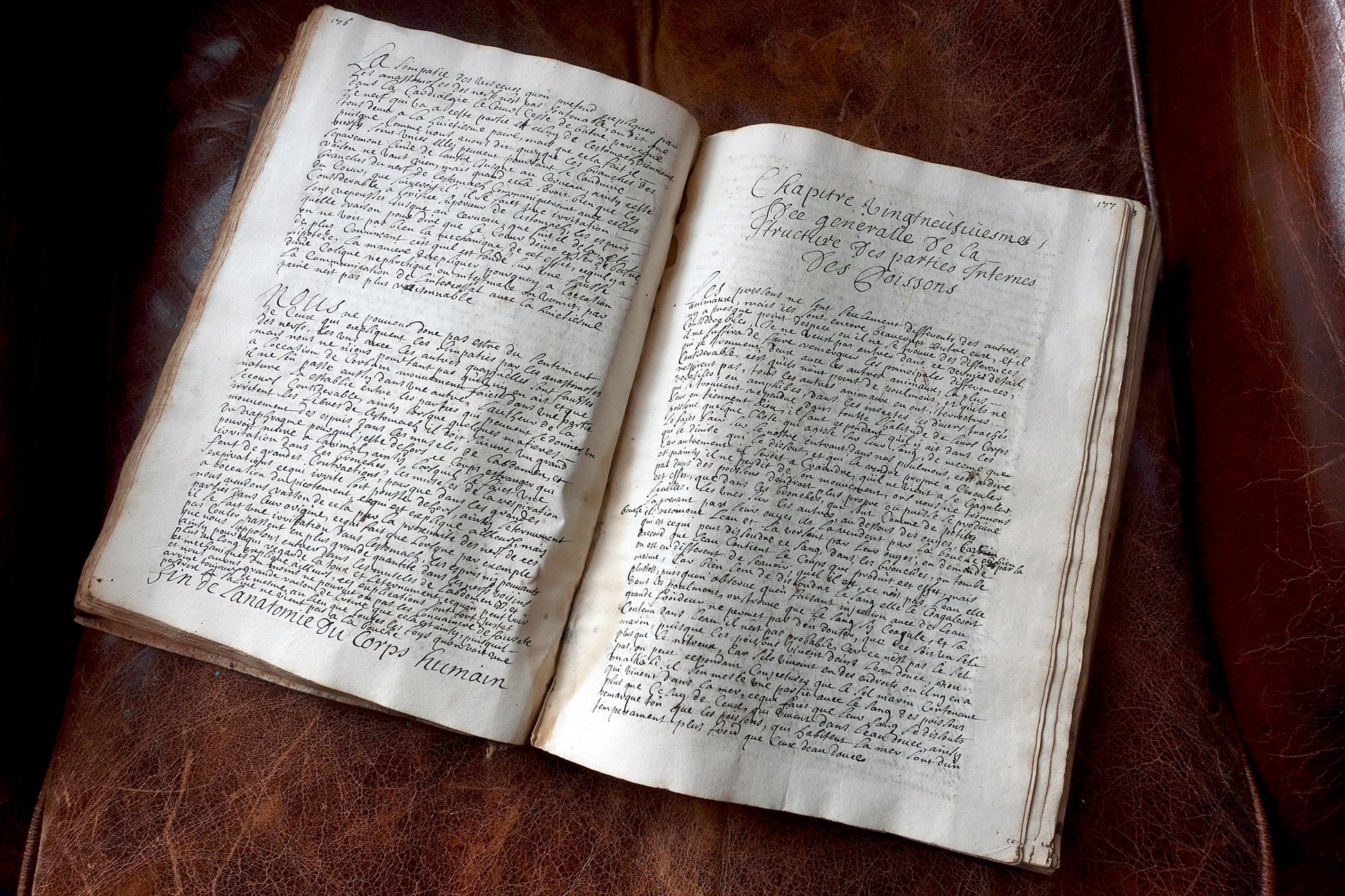 18th century hand written French manuscript on human anatomy and surgical practice