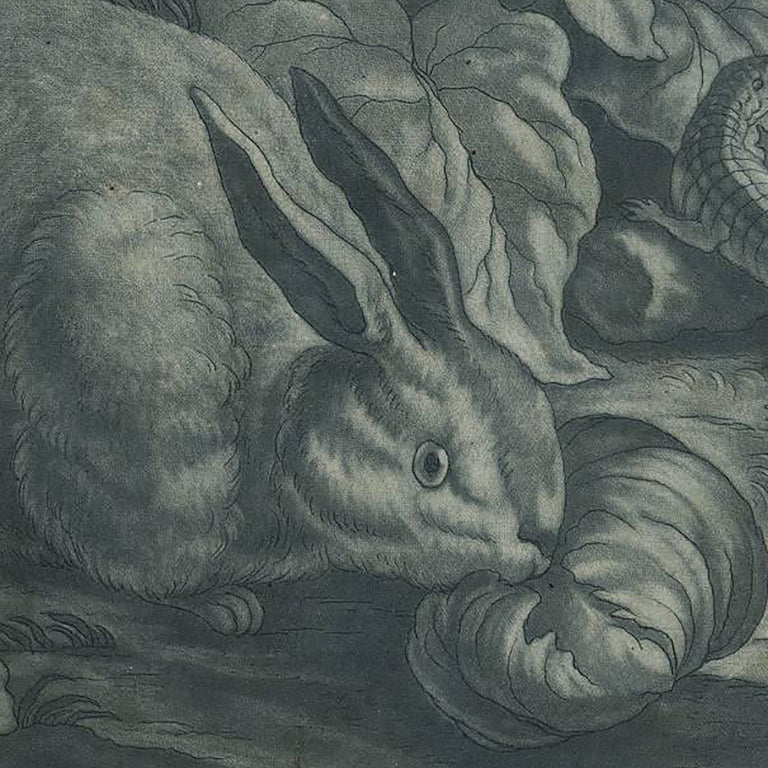 Early 18th century Mezzotint of a nature scene with a rabbit lizard bird and butterfly