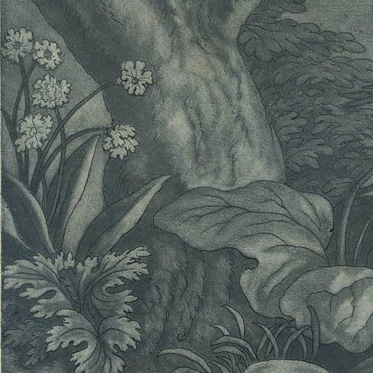 Early 18th century Mezzotint of a nature scene with a rabbit lizard bird and butterfly