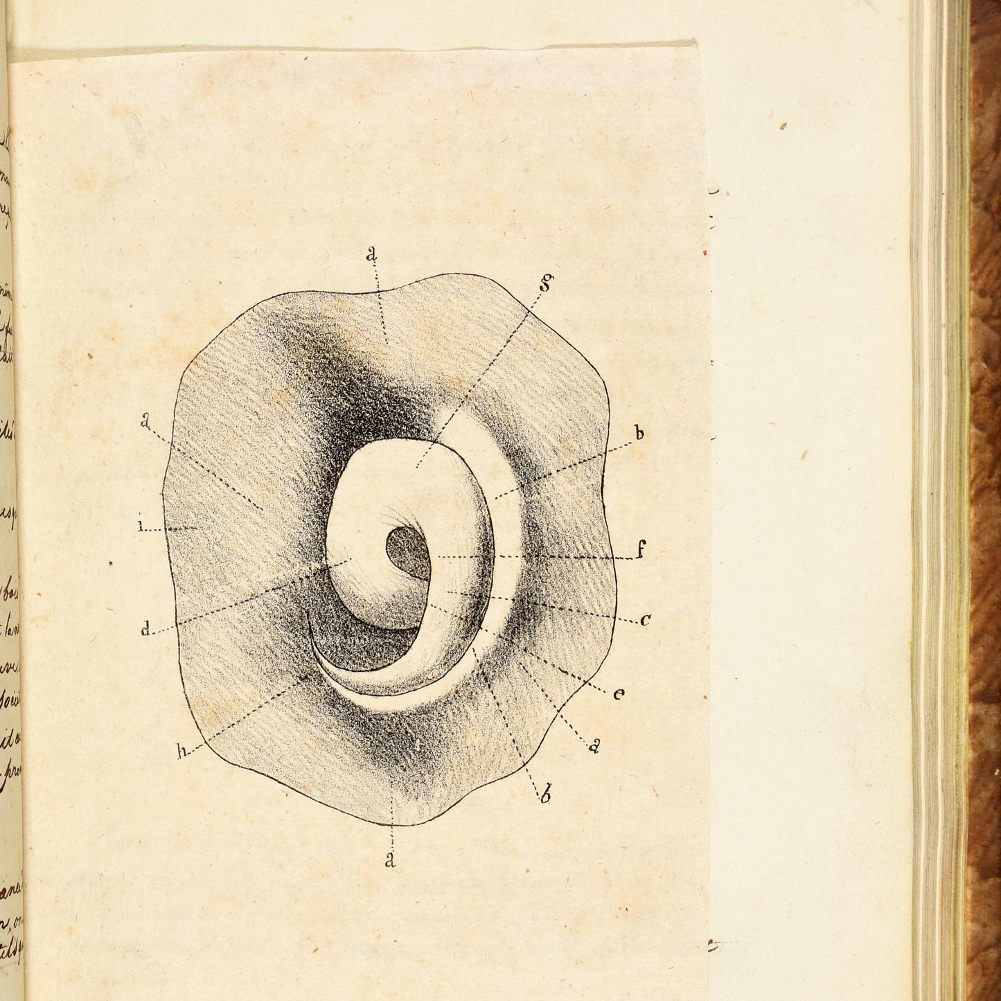 19th century handwritten French manuscript on hygiene and longevity