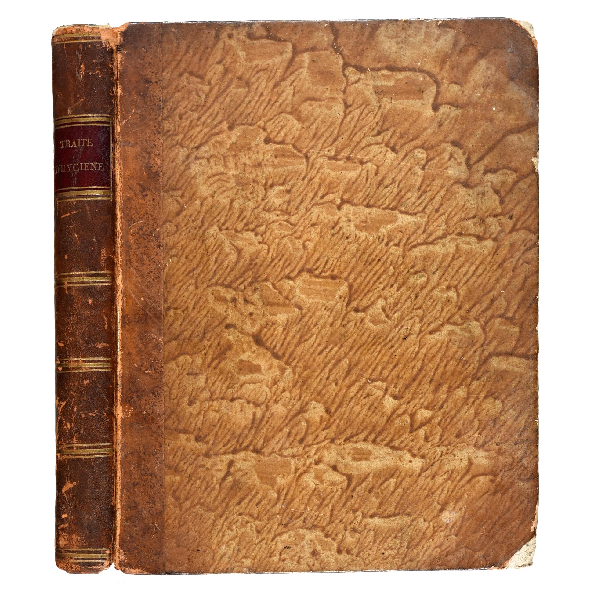 19th century handwritten French manuscript on hygiene and longevity