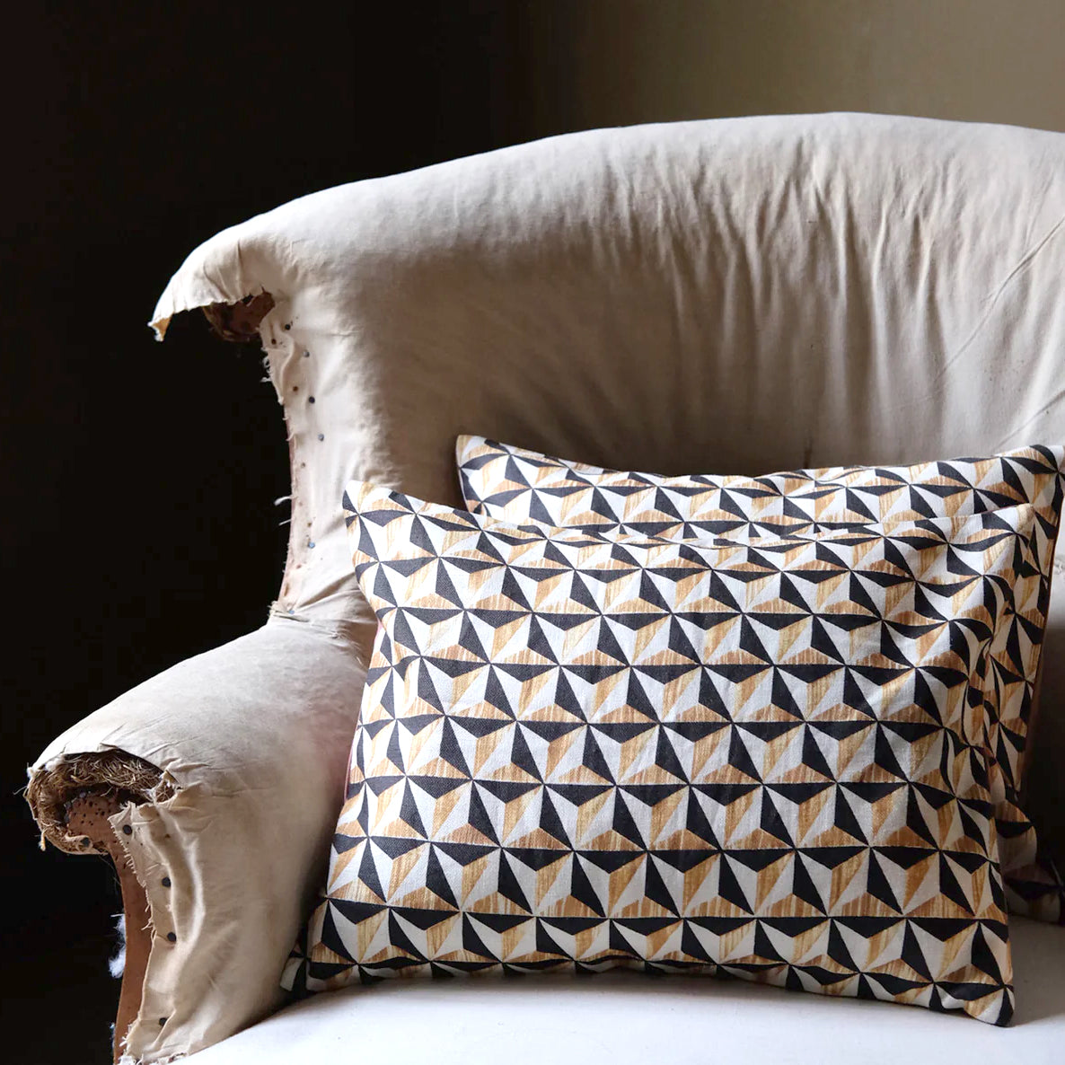 Antoinette Poisson French Parisan cushions for sale in the USA